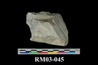 藏品(石英片岩)的圖片